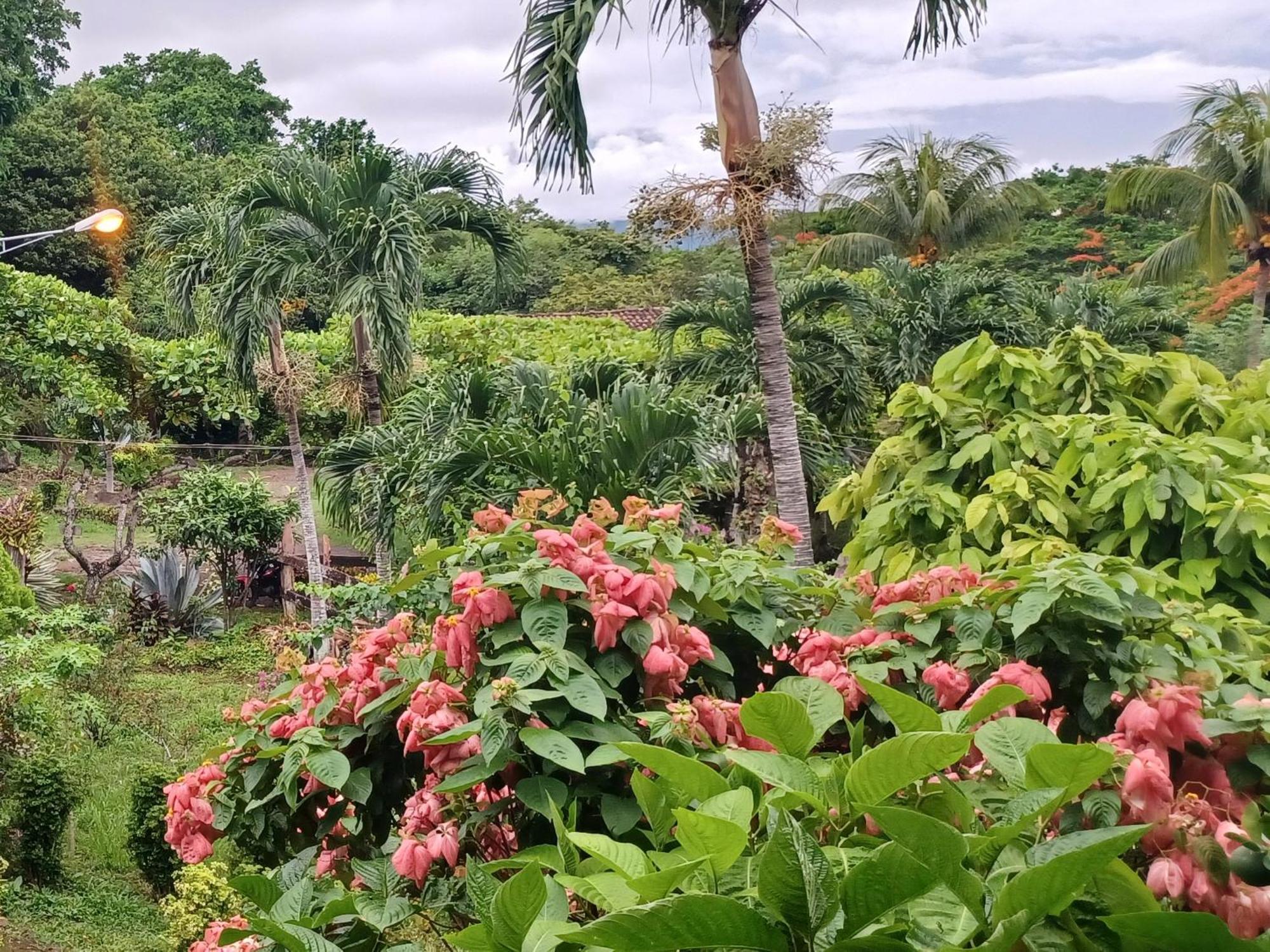 Finca Magdalena Eco Lodge Бальге Номер фото